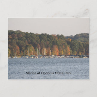 Marina in het staatspark Codorus Briefkaart