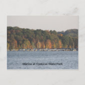 Marina in het staatspark Codorus Briefkaart (Voorkant)