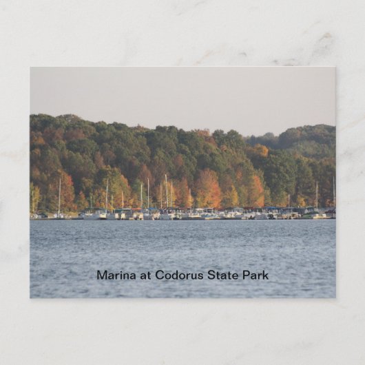 Marina in het staatspark Codorus Briefkaart (Voorkant)