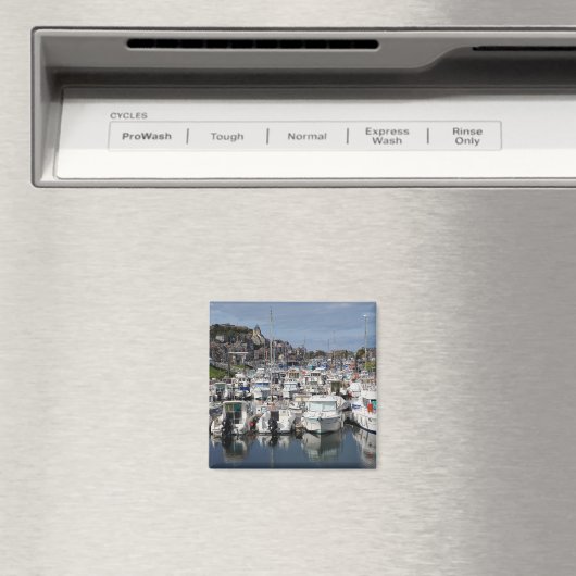 Marina van Le Tréport in Frankrijk Magneet (Insitu (Vaatwasser))