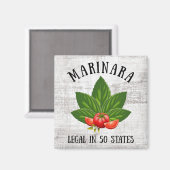 Marinara Legal in 50 staten Basil en Tomaten Magneet (Voorkant / Achterkant)