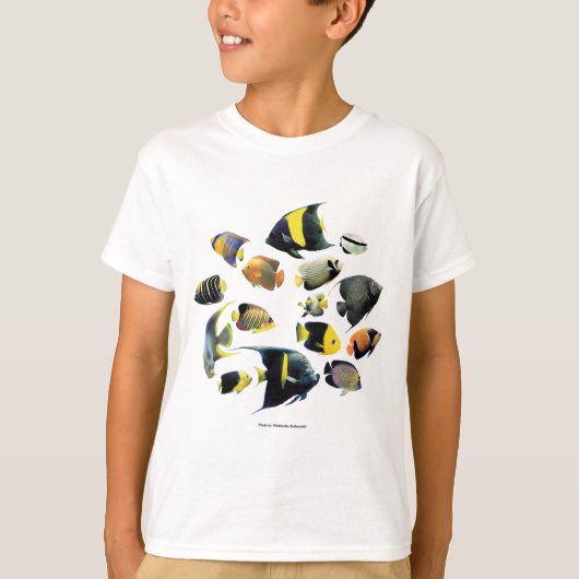 Marine angelfish t-shirt (Voorkant)