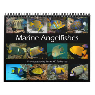 Marine Angelfishes Wall Calendar van J.W. Fatherre Kalender