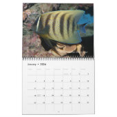 Marine Angelfishes Wall Calendar van J.W. Fatherre Kalender (Jan 2026)