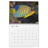 Marine Angelfishes Wall Calendar van J.W. Fatherre Kalender (Mar 2026)
