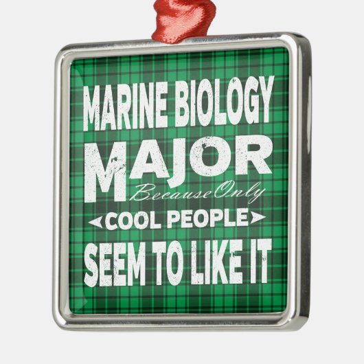 Marine Biology College Major Green Plaid Metalen Ornament (Links)