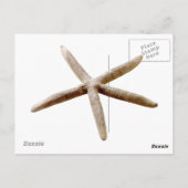 Marine Blauw en Wit Strepen Zeester Briefkaart (Achterkant)