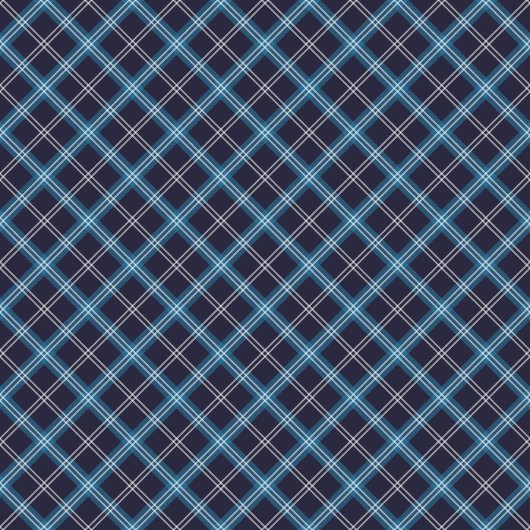 Marine Blauw Picknick Tafelkleed met Klassiek Plak