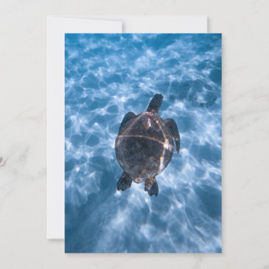 Marine Blauwe Nautische Schildpad Strand Kustbruil Kaart (Achterkant)