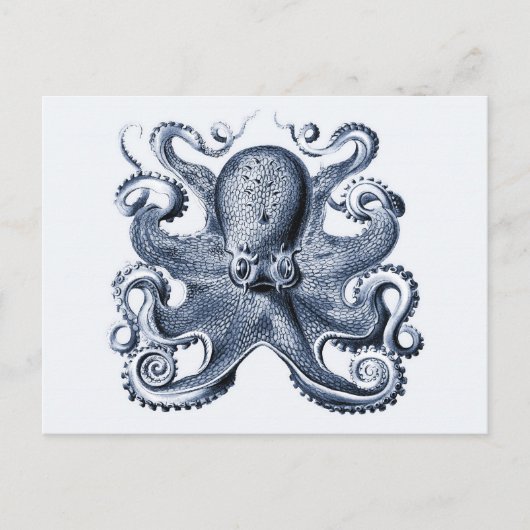 Marine blauwe octopus illustratie door Ernst Haeck Briefkaart (Voorkant)