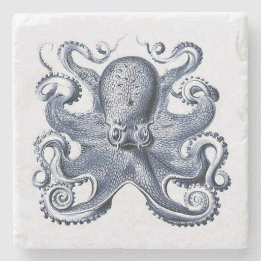 Marine blauwe octopus illustratie door Ernst Haeck Stenen Onderzetter (Voorkant)