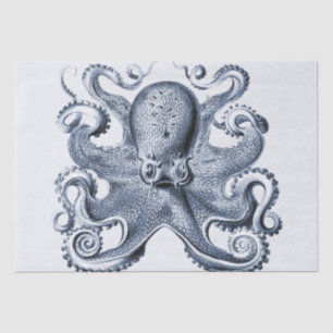 Marine blauwe octopus illustratie door Ernst Haeck Tissuepapier