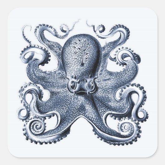 Marine blauwe octopus illustratie door Ernst Haeck Vierkante Sticker (Voorkant)