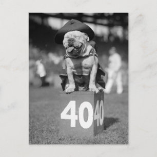 Marine Corps Mascot, jaren 20 Briefkaart