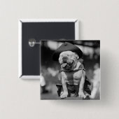 Marine Corps Mascot, jaren 20 Vierkante Button 5,1 Cm (Voorkant /achterkant)