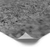 Marine Corps Mascot Jiggs: 1923 Poster (Hoek)