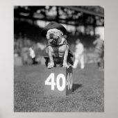 Marine Corps Mascot Jiggs: 1923 Poster (Voorkant)