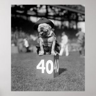 Marine Corps Mascot Jiggs: 1923 Poster