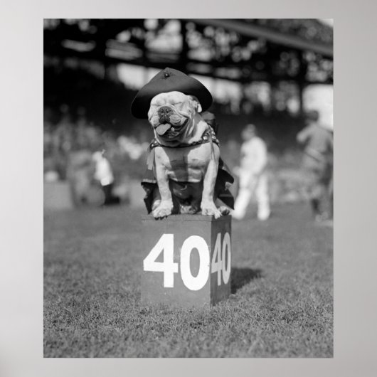 Marine Corps Mascot Jiggs: 1923 Poster (Voorkant)