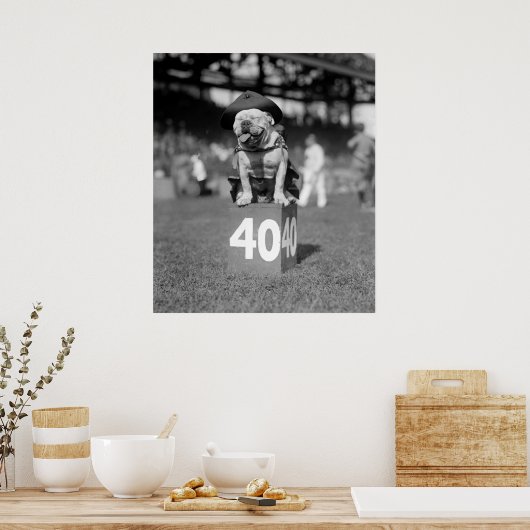 Marine Corps Mascot Jiggs: 1923 Poster (Keuken)