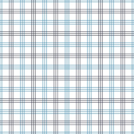 Marine en Blue Plaid Deken Classic Check Style