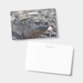 Marine Iguana Badge (Voor- en achterkant)