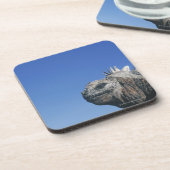 Marine Iguana Bier Onderzetter (Linkerzijde)