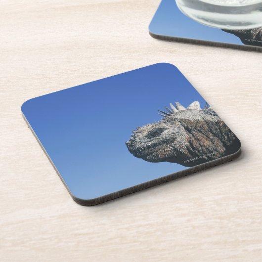 Marine Iguana Bier Onderzetter (Linkerzijde)