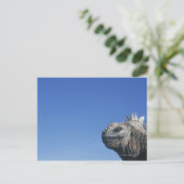 Marine Iguana Briefkaart (Staand voorkant)
