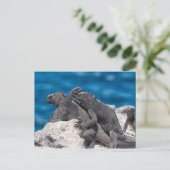 Marine Iguana Briefkaart (Staand voorkant)