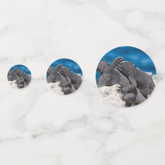 Marine Iguana Confetti (Achterkanten)