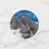 Marine Iguana Confetti (Kleine voorkant)