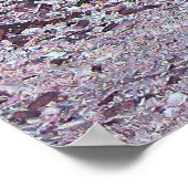 Marine Iguana Face off Poster (Hoek)