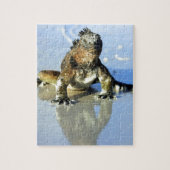 Marine iguana Galapagos Legpuzzel (Verticaal)