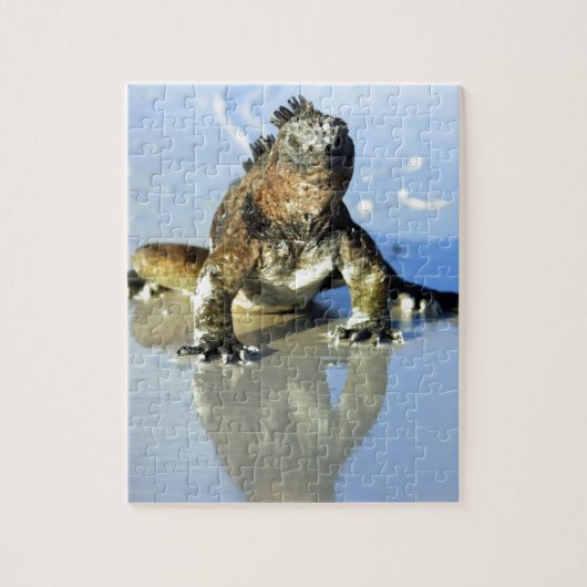 Marine iguana Galapagos Legpuzzel (Verticaal)