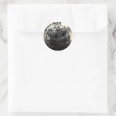Marine Iguana hoofd geschoten Sticker (Tas)