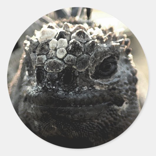 Marine Iguana hoofd geschoten Sticker (Voorkant)