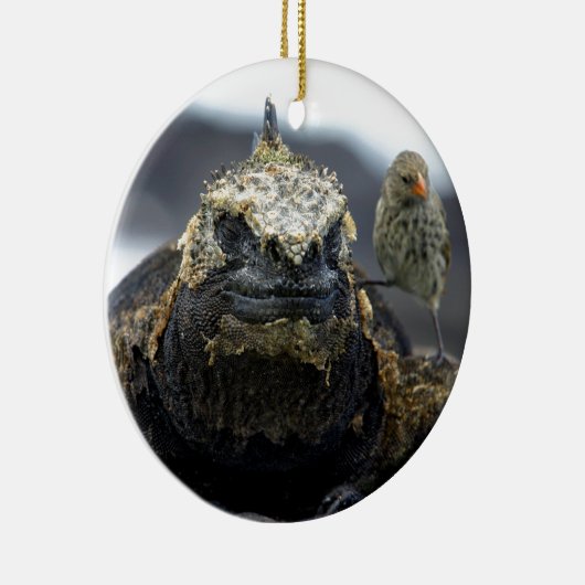 Marine iguana keramisch ornament (Rechts)