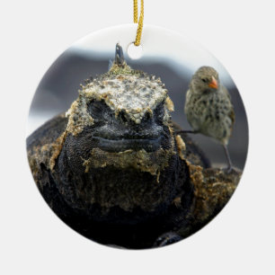 Marine iguana keramisch ornament