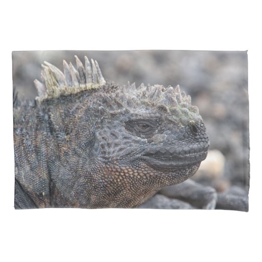 Marine Iguana Kussensloop (Voorkant)