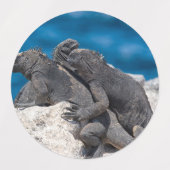 Marine Iguana Labels (Design 1)