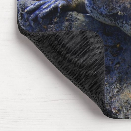 Marine Iguana Muismat (Hoek)