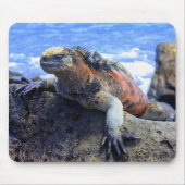 Marine Iguana Muismat (Voorkant)