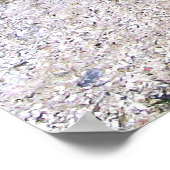 Marine Iguana Pile Poster (Hoek)