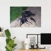 Marine Iguana Pile Poster (Thuiskantoor)