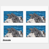 Marine Iguana Rechthoekige Sticker (Vel)