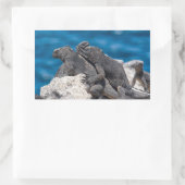 Marine Iguana Rechthoekige Sticker (Tas)