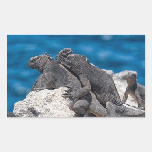 Marine Iguana Rechthoekige Sticker (Voorkant)