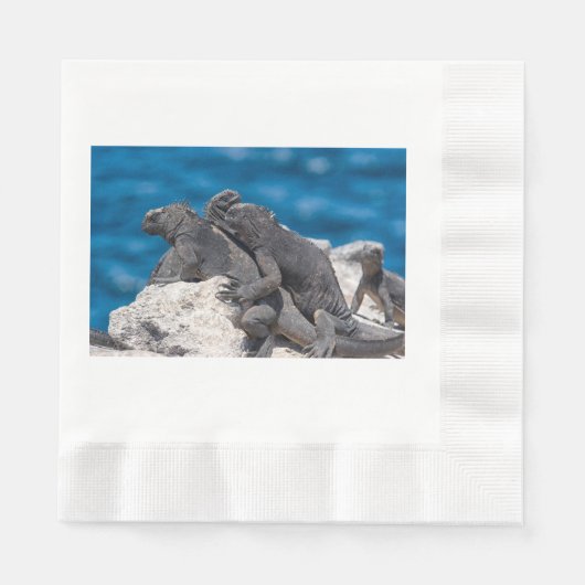 Marine Iguana Servet (Voorkant)