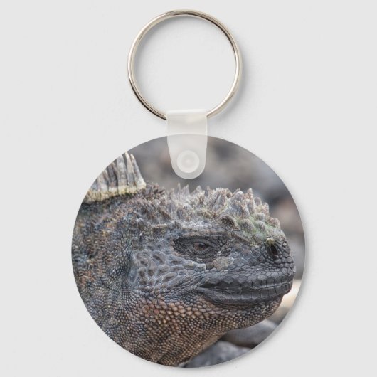 Marine Iguana Sleutelhanger (Voorkant)